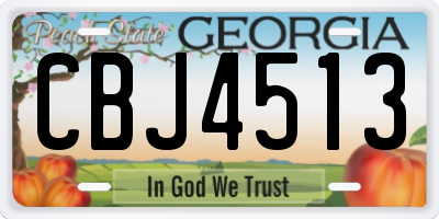 GA license plate CBJ4513
