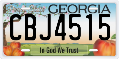 GA license plate CBJ4515