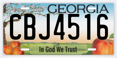 GA license plate CBJ4516