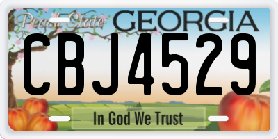 GA license plate CBJ4529