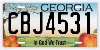 GA license plate CBJ4531