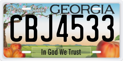 GA license plate CBJ4533