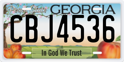 GA license plate CBJ4536