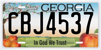 GA license plate CBJ4537
