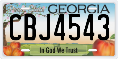 GA license plate CBJ4543