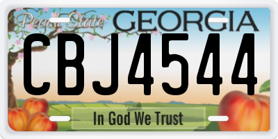 GA license plate CBJ4544