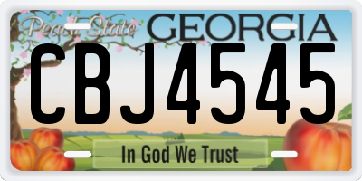 GA license plate CBJ4545