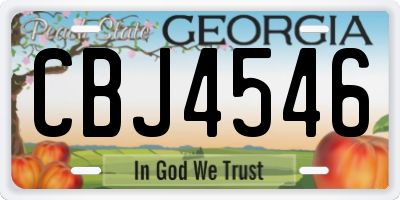 GA license plate CBJ4546