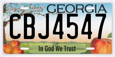 GA license plate CBJ4547