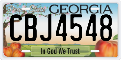 GA license plate CBJ4548