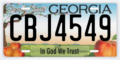 GA license plate CBJ4549
