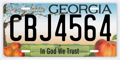 GA license plate CBJ4564