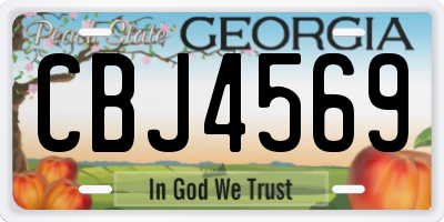 GA license plate CBJ4569