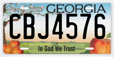 GA license plate CBJ4576