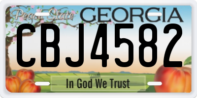 GA license plate CBJ4582