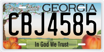 GA license plate CBJ4585