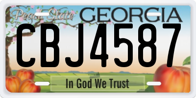 GA license plate CBJ4587