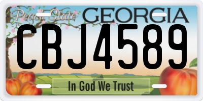 GA license plate CBJ4589