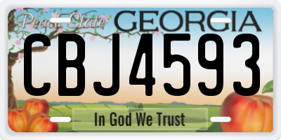 GA license plate CBJ4593