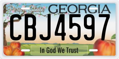 GA license plate CBJ4597