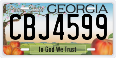 GA license plate CBJ4599