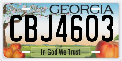 GA license plate CBJ4603