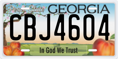 GA license plate CBJ4604