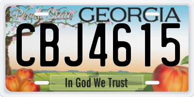 GA license plate CBJ4615