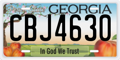GA license plate CBJ4630