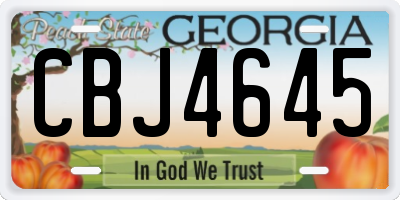 GA license plate CBJ4645