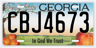 GA license plate CBJ4673