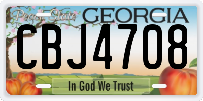 GA license plate CBJ4708