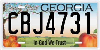 GA license plate CBJ4731