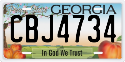 GA license plate CBJ4734