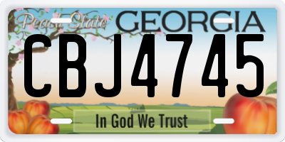 GA license plate CBJ4745