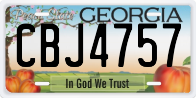 GA license plate CBJ4757