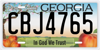GA license plate CBJ4765