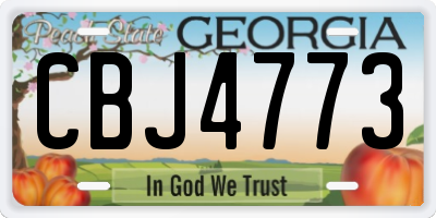 GA license plate CBJ4773