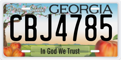GA license plate CBJ4785