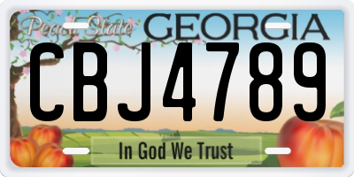 GA license plate CBJ4789