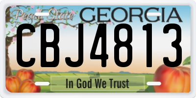 GA license plate CBJ4813