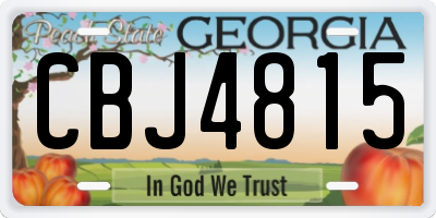 GA license plate CBJ4815