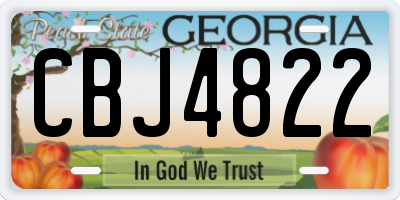 GA license plate CBJ4822