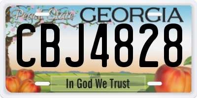 GA license plate CBJ4828