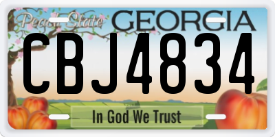 GA license plate CBJ4834