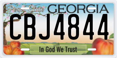 GA license plate CBJ4844