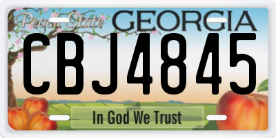 GA license plate CBJ4845