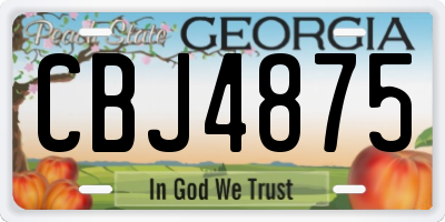 GA license plate CBJ4875