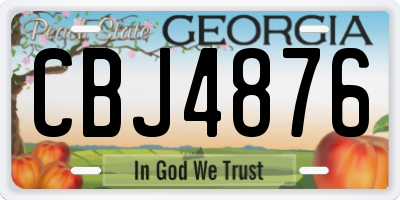 GA license plate CBJ4876