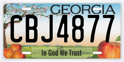 GA license plate CBJ4877